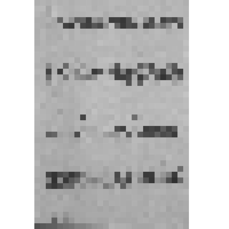 Автобиография Нагаева Матвея Назаровича - красногвардейца 1 роты, 269 полка, 30 дивизии 5 армии. Датирована 3 апреля