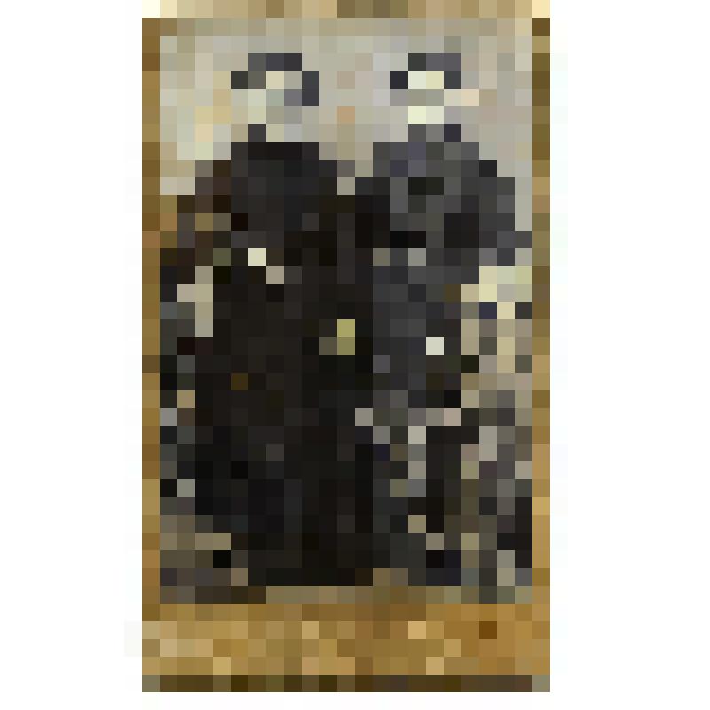 Фотография. Крестьянки села Коломенского Московского уезда