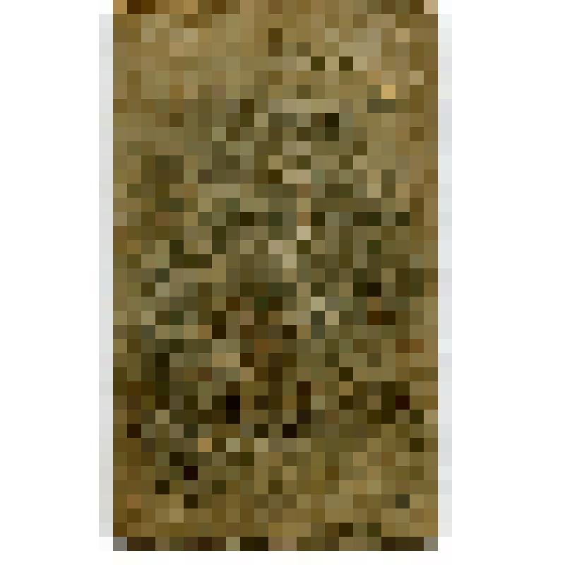 Фотография. Крестьянки села Коломенского Московского уезда