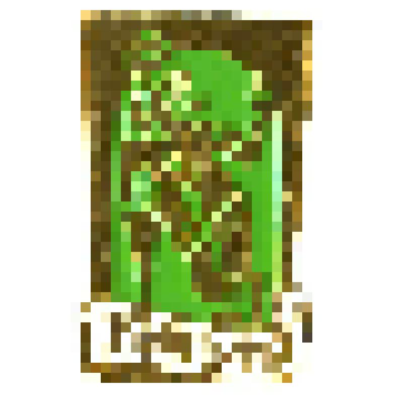 Значок. Комедия дель арте. Бригелла, на булавке. СССР