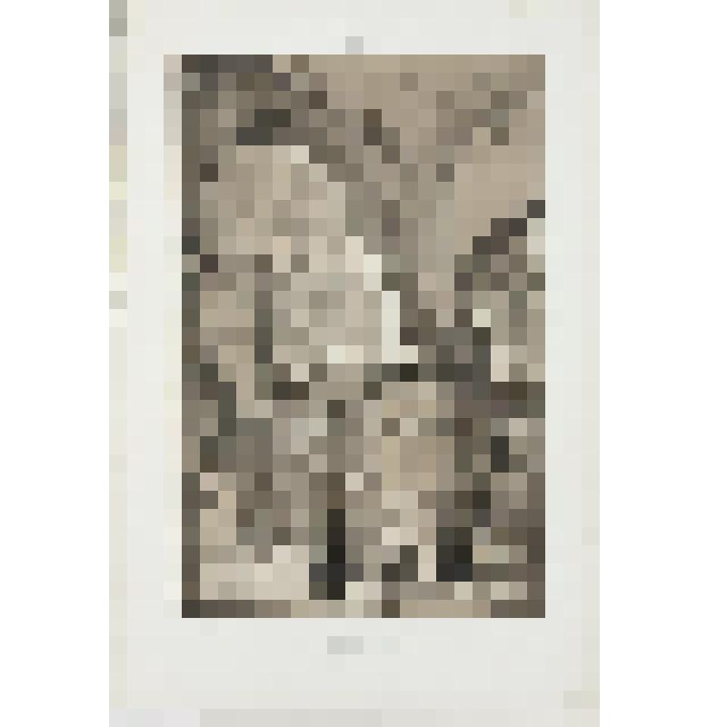 Литография. "Кострома. Интерьер церкви. Монастырь Святой Троицы."