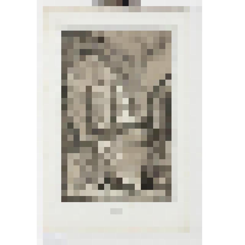 Литография. "Кострома. Интерьер церкви. Монастырь Святой Троицы."