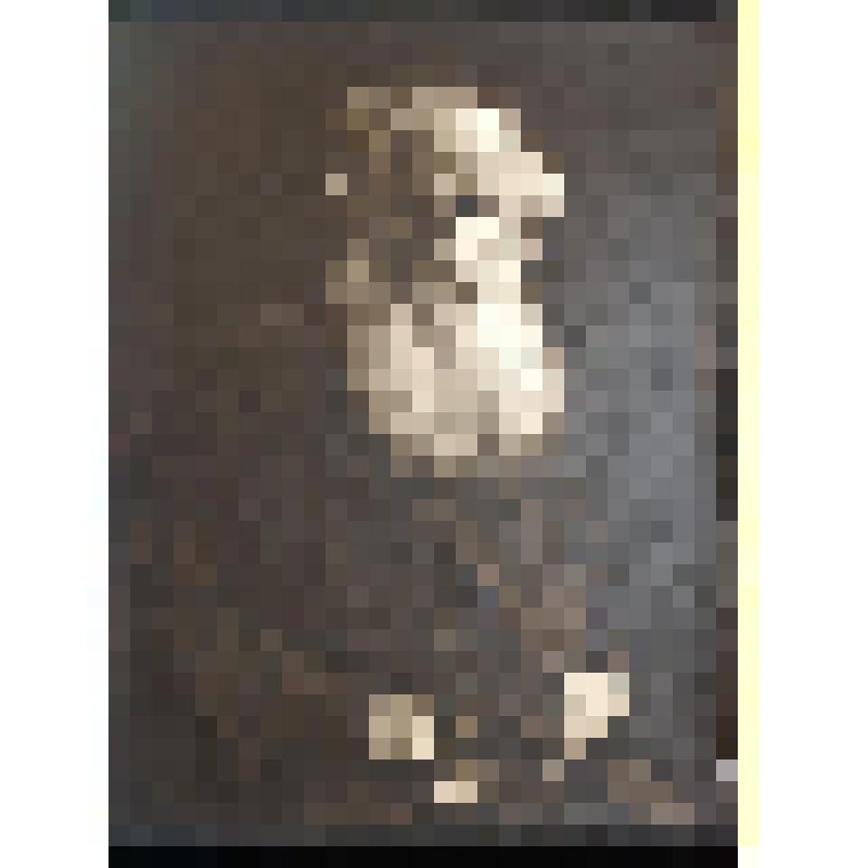 Л.Н.Толстой (фас, почти погрудно, в темной блузе)