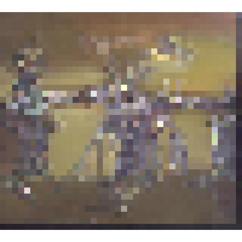 Картина. Аграрная страна IV