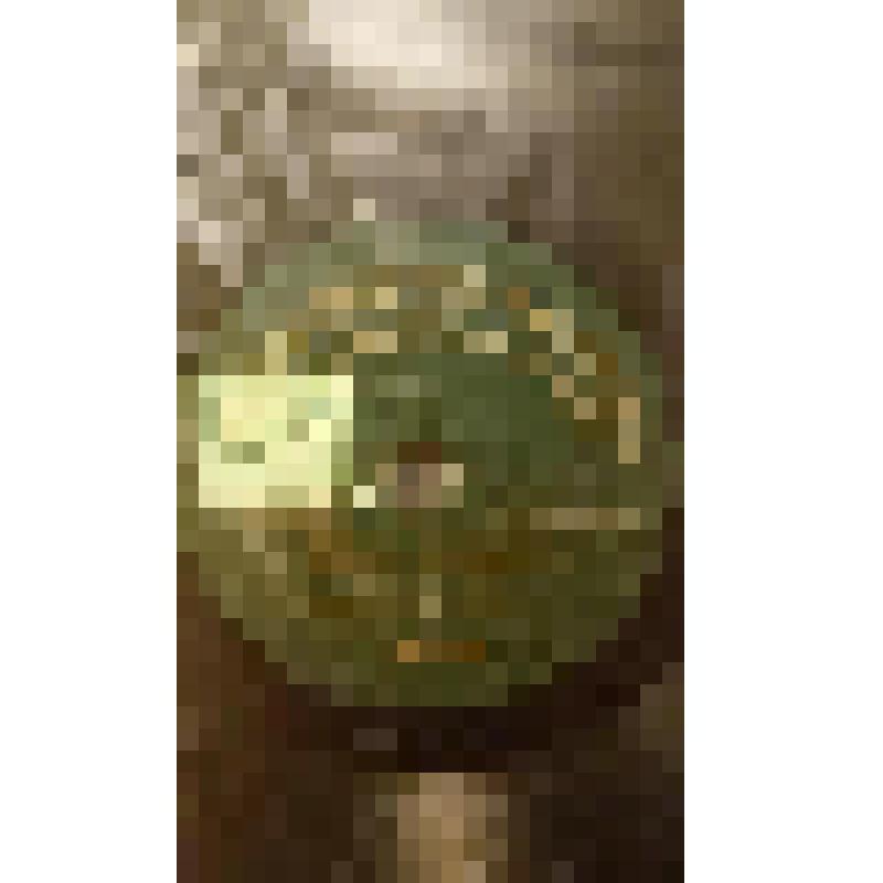 Грампластинка. Пьеса: "Не говори холодного прости". Исполняет Панина В.В., Россия; Пьеса: "Быть может".  Исполняет Панина В.В., Россия