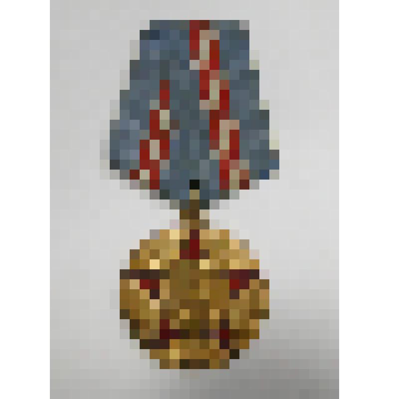 Медаль "50 лет Вооруженных сил СССР" 1968г Киселева Е.Г