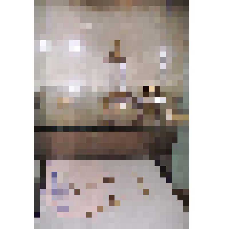 Зал N 4 выставки "Аланский всадник". Конский убор, сбруйный ремень - экспонаты из коллекции ГИМ