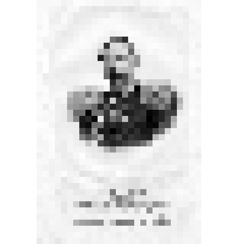 Портрет. Григорий Иванович Бутаков. Из альбома "Портреты лиц, отличившихся заслугами и командовавших действующими частями в войне 1853-1856 гг."