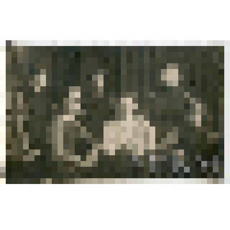 Фотография групповая. Валентина Павловна Бородина, учительница 9-й школы Симбирска с учащимися. Из собрания материалов, по школьному образованию, работе Ульяновского рабфака 1927-1928 гг. и кинотеатров Ульяновской области