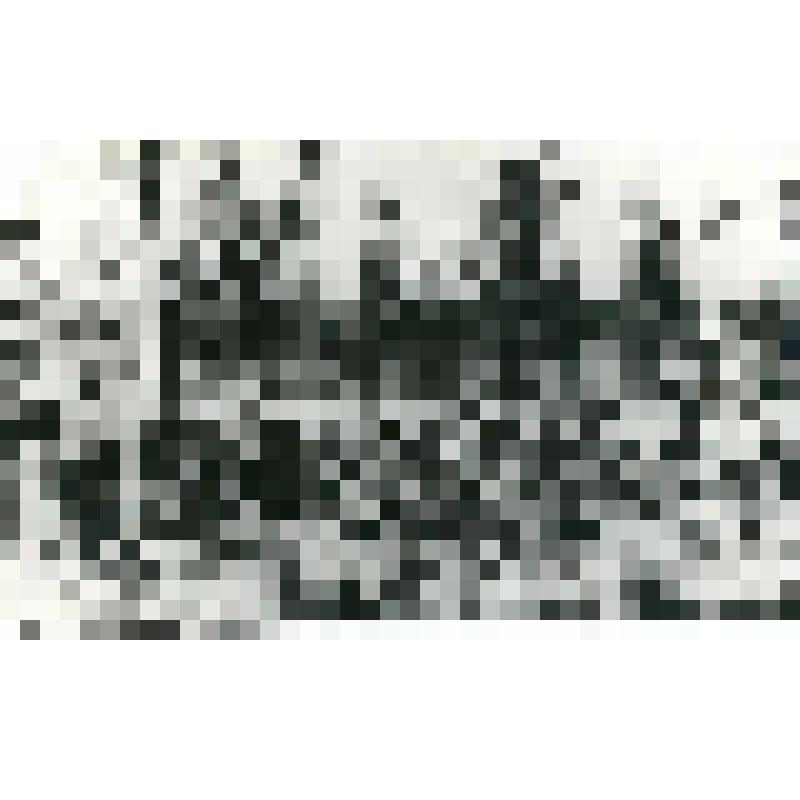 Фотокопия. Экспедиции на Алдане