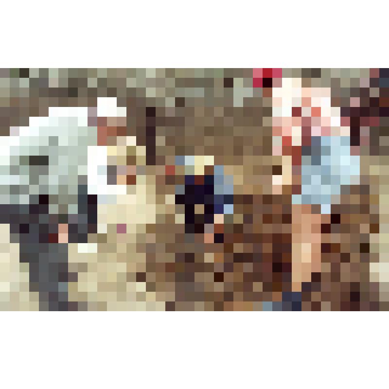 Жаклин Беер, Витковский Е.В., Максименко В.Е. и студентка РГУ на раскопе у универмага в г.Азове