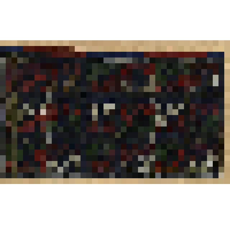 Зарисовка образца ткачества плахты. Из альбома «Русское народное искусство. Узорное ткачество»