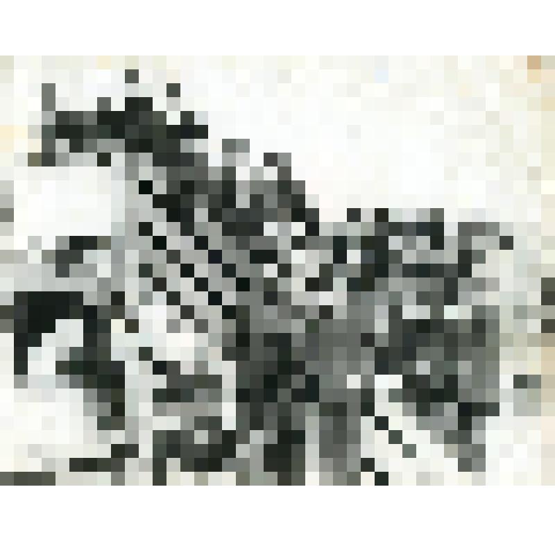 Фотография чёрно-белая. Комсомольско-молодёжная бригада шпалоцеха, бригадир Неганов Иван