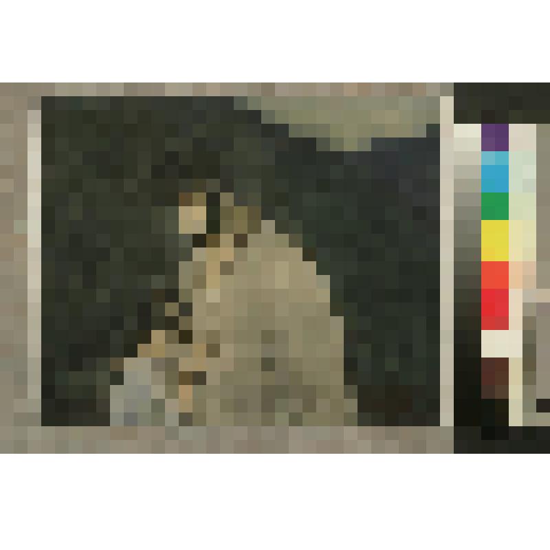 Жилин и Дина