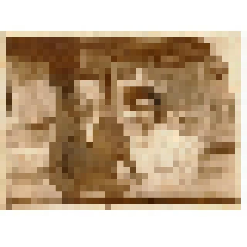 Ф/чб. Супруги Банниковы Юрий и Мария около дома на ул. Рабочей-Самарской. Энгельс. ~ 1953