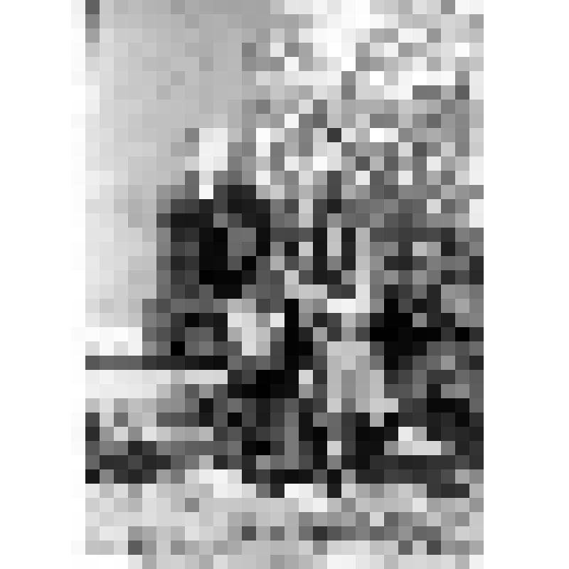 Фотография. Сухов Ф.Г. с Молчановым В