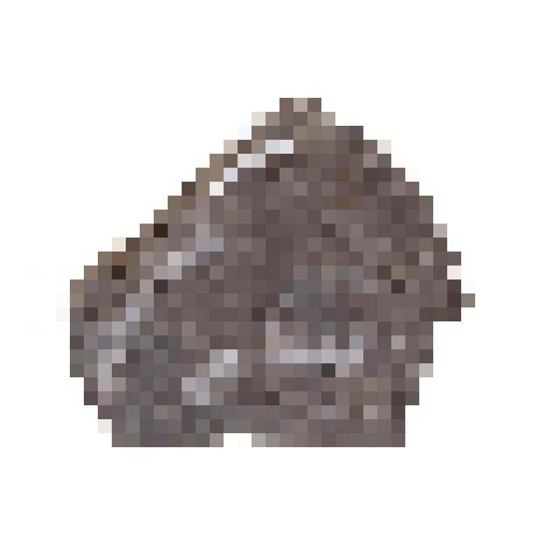 Брахиопода. Brachiopoda. Порода с окаменелостями