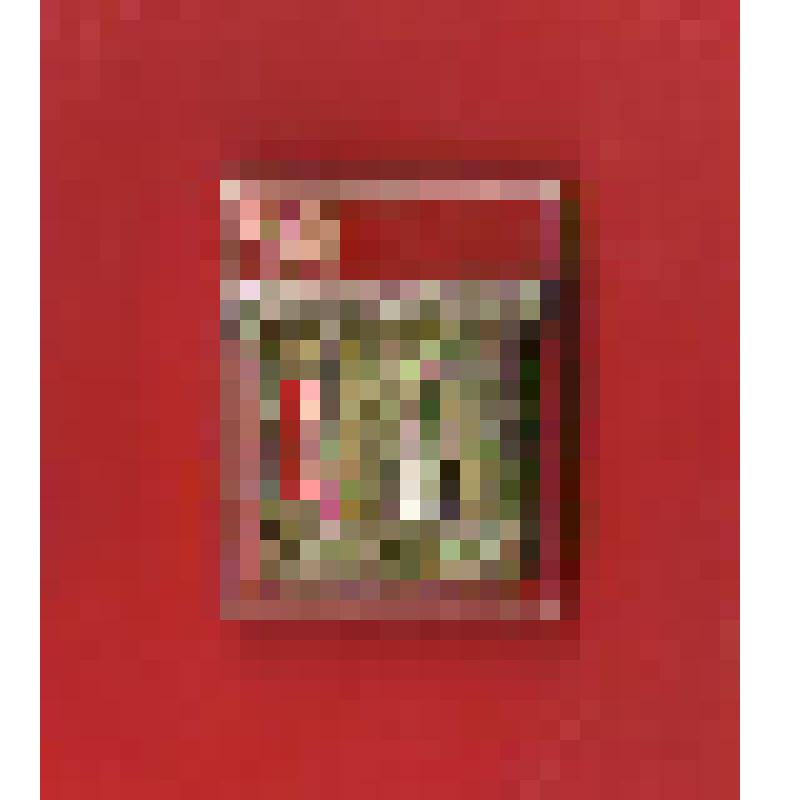 Значок." первый разряд "