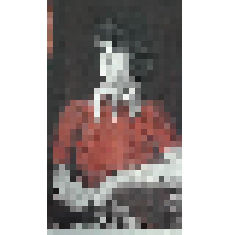 Портрет Людмилы(жены художника). Литография