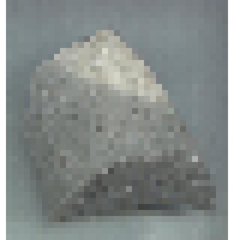 Фрагмент донца мореного сосуда