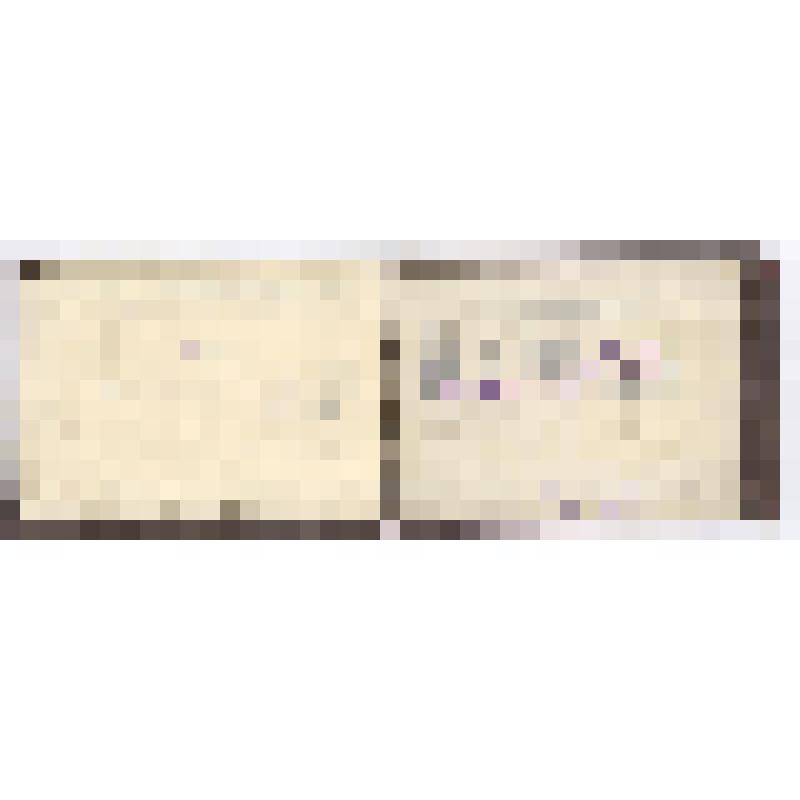 Билет студенческий с фотографией Ленинградского государственного ордена Ленина университета