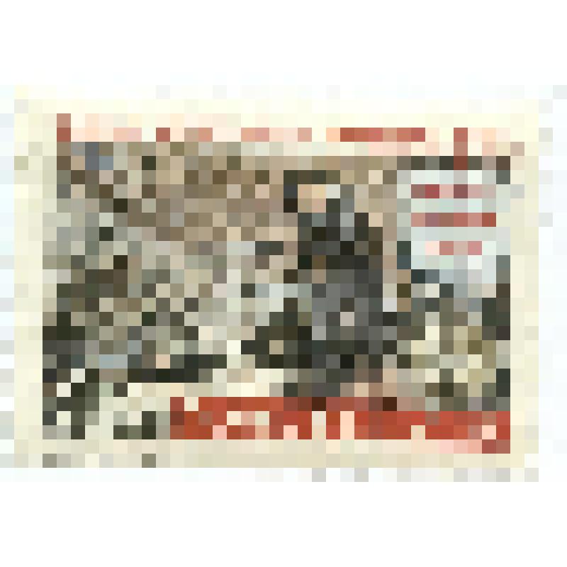 Марка почтовая. "Великая Отечественная война. Оборона Одессы". 4 копейки