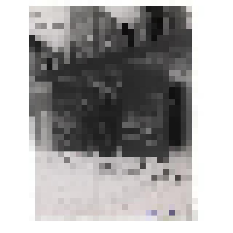 Выставка работ В.В. Маяковского. Раздел «150000000»