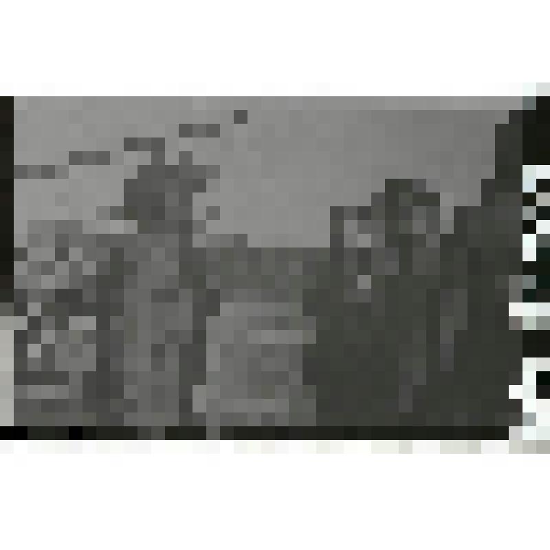 Негатив. Фото из архива М.Г. Акиншина. Последнее получение боевой техники с Урала Уральским добровольческим танковым корпусом под Оппельном