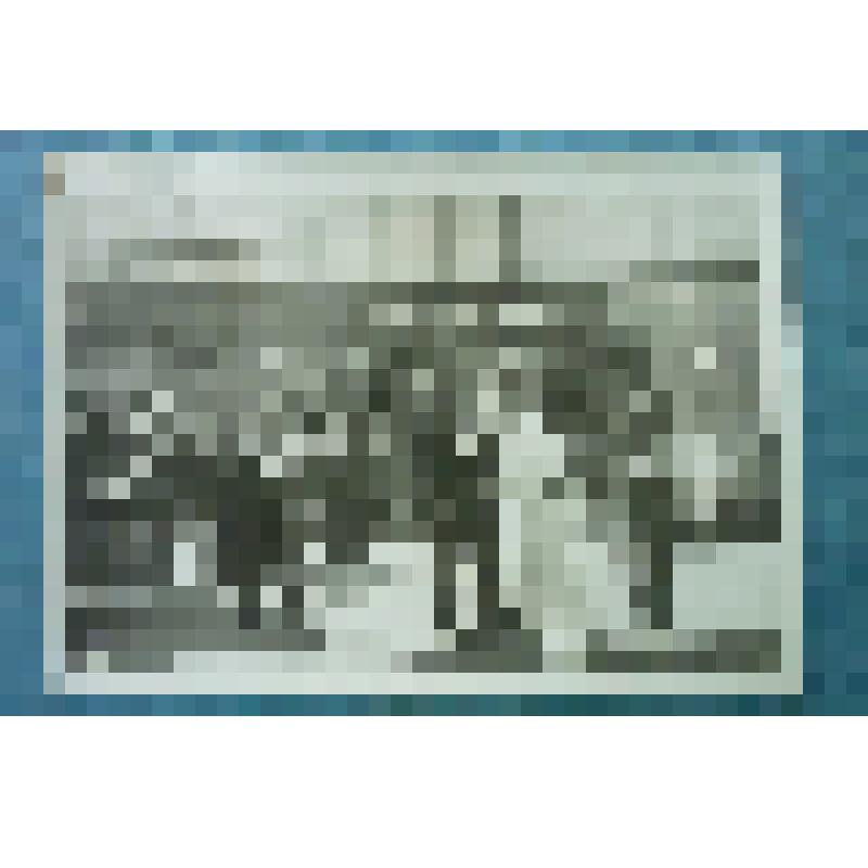 Фотография репортажная