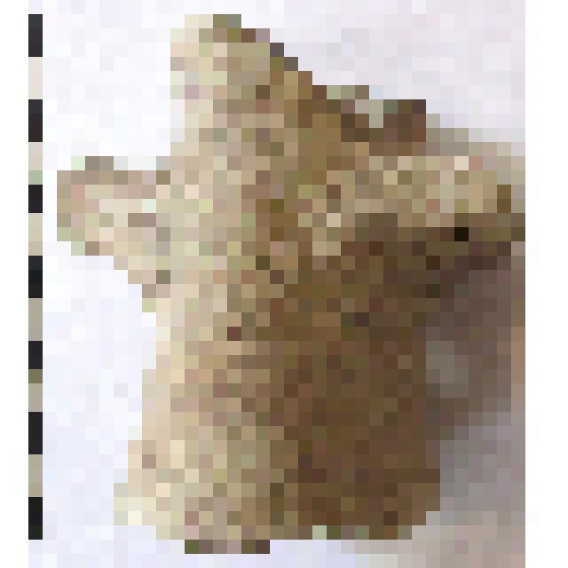 Средняя часть горла амфоры типа D с дипинти