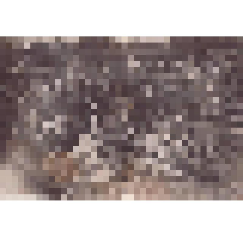 Фотография черно-белая. Партизанский отряд  с.Шиткино Тайшетского района Иркутской области