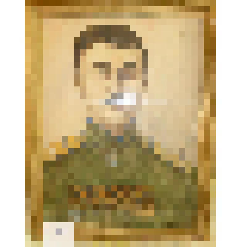 Полный Георгиевский кавалер Пашнин И.В. Портрет