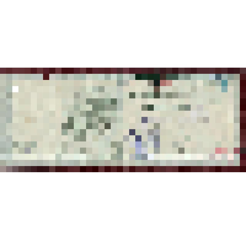 Членский билет N 10 т. Давыдова Х.В. - члена Воронежского губ. исполкома Советов Р. Кр., Кр. арм. депутатов XII созыва