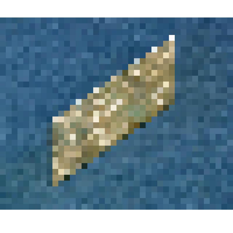 Документ. Адрес приветственный Тюменского областного института усовершенствования учителей Гладких Надежде Михайловне, заведующей Ялуторовским городским отделом народного образования, в связи с 55-летием со дня рождения. Г. Тюмень. 1976 г., октябрь, 02