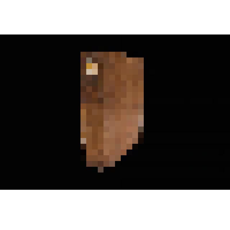 Книга старопечатная. Илиотропион. Пер. с лат. И. Максимовича. Чернигов, тип.Троице-Ильинского мон.,1714