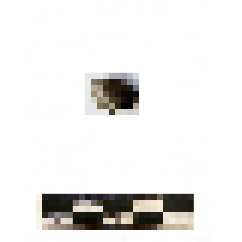 Пластинчатая нашивка