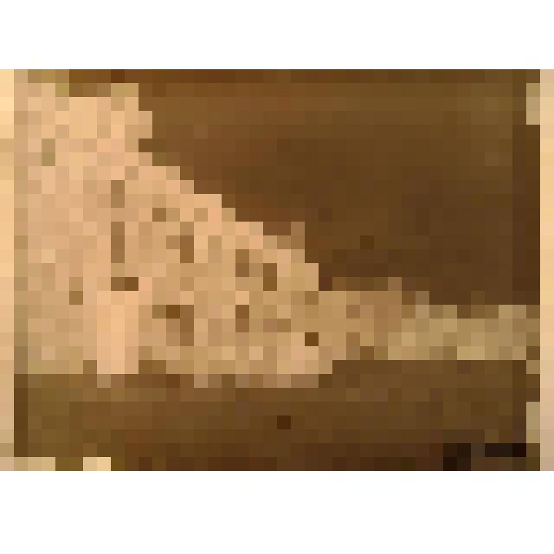 Негатив. Деревянные дома поселка Калиец