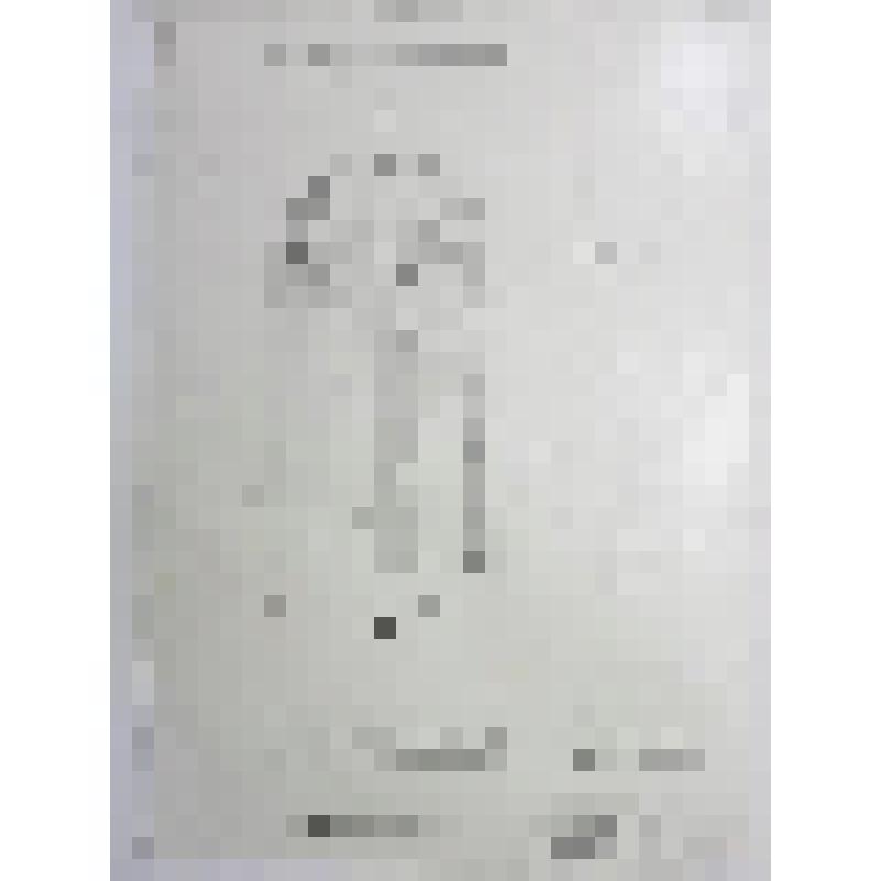 Крестовоздвиженский собор. Брусенский монастырь. ХVI-ХIХвв. 1852-1855 гг. г.Коломна. Брусенский монастырь. Крестовоздвиженский собор. Металлические ворота северного фасада, вид снаружи. План, фасад, разрез