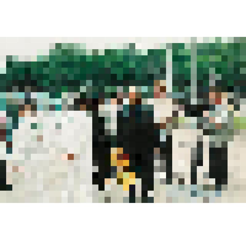 Фотография. Представитель органов власти пресекает проведение акции "Нет загрязнению шельфа Сахалина", проведенной "Экологической вахтой Сахалина"