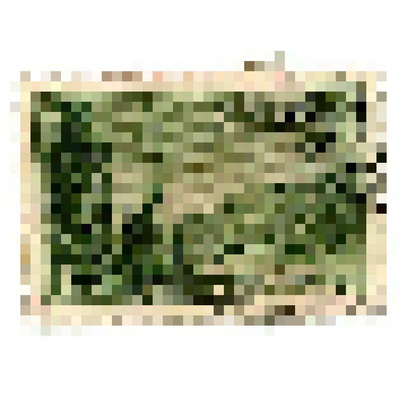 Почтовая марка 1 р. Хибинские горы