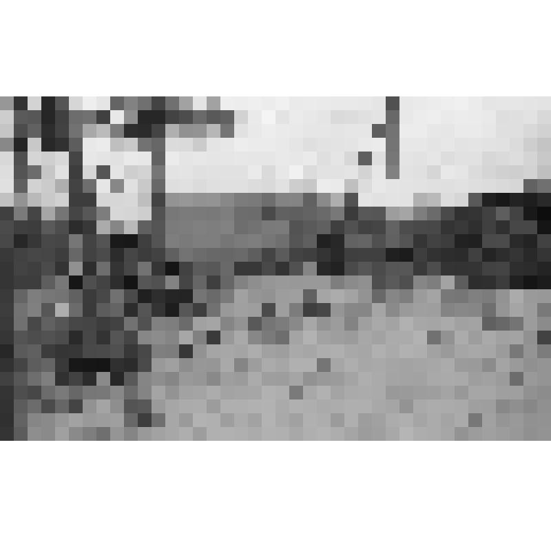 Фотонегатив. Одинокая могила, оказавшаяся на территории ССУ-2