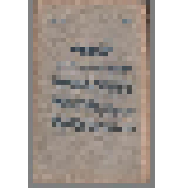 Журнал. Новая и новейшая история