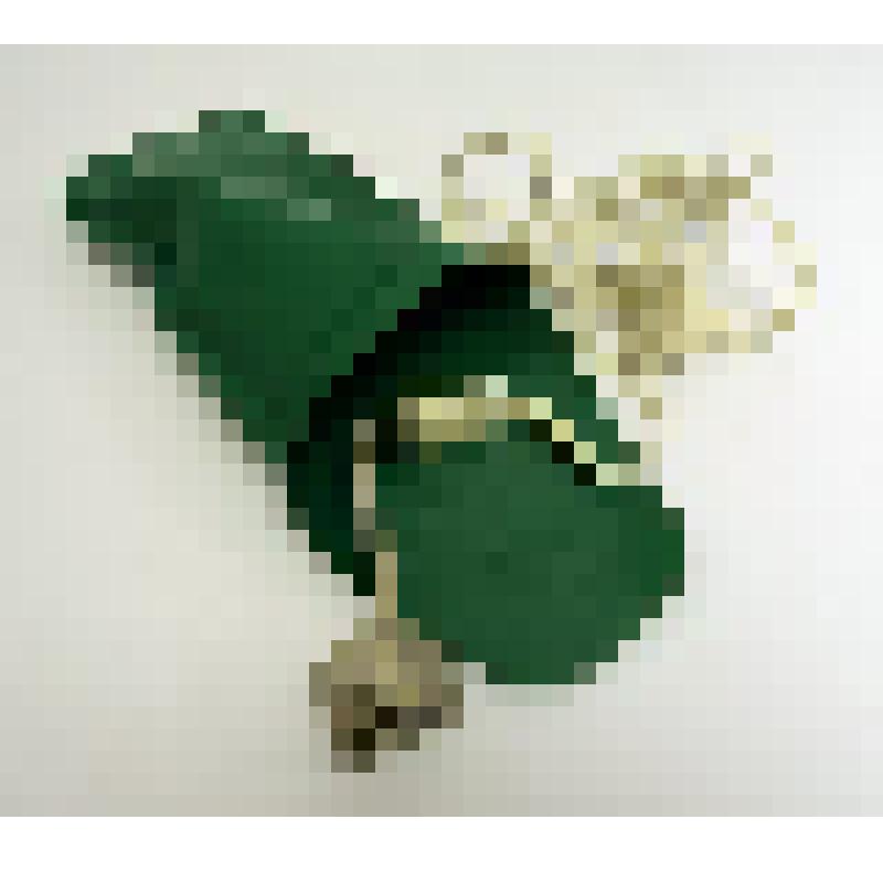 Электрокипятильник Лобынцева Николая Яковлевича