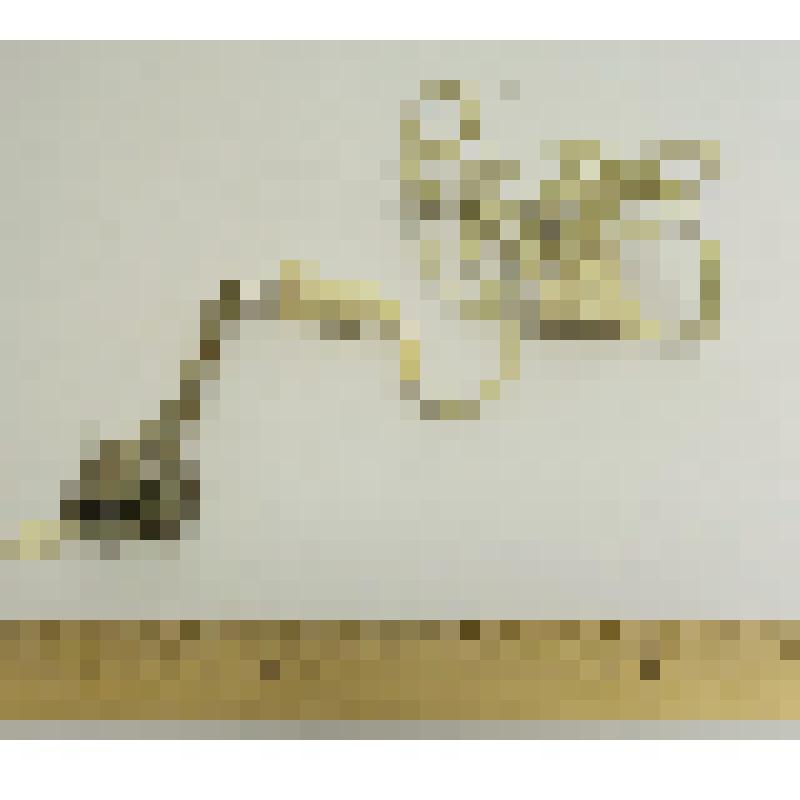 Электрокипятильник Лобынцева Николая Яковлевича