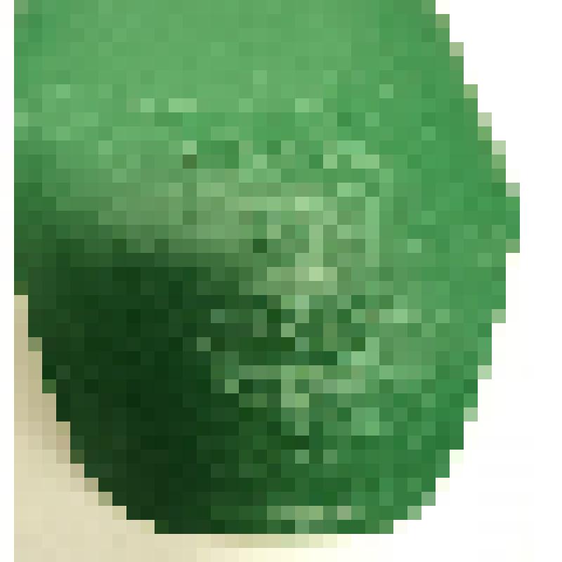 Электрокипятильник Лобынцева Николая Яковлевича