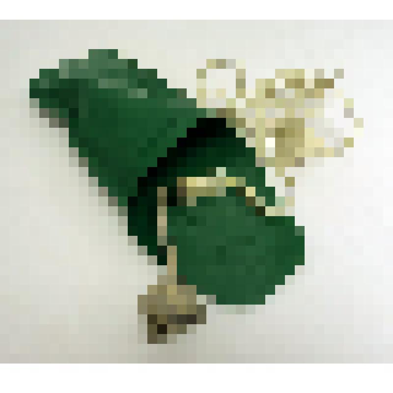 Электрокипятильник Лобынцева Николая Яковлевича