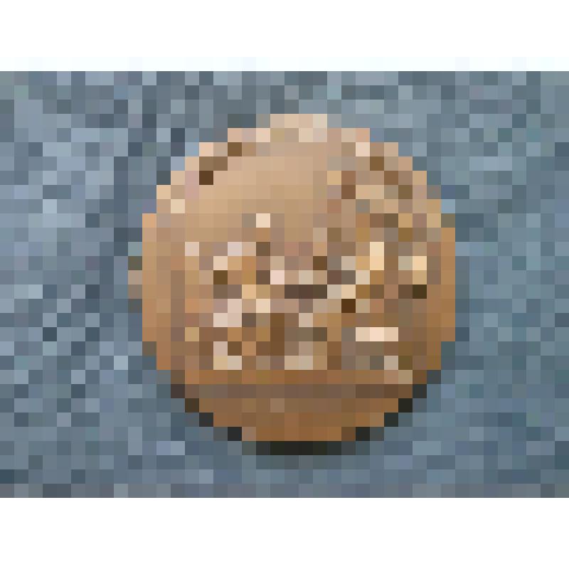 Медаль. За Ленинской правдой