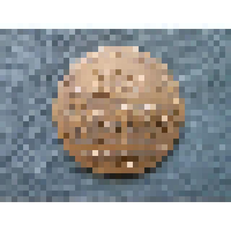 Медаль. За Ленинской правдой