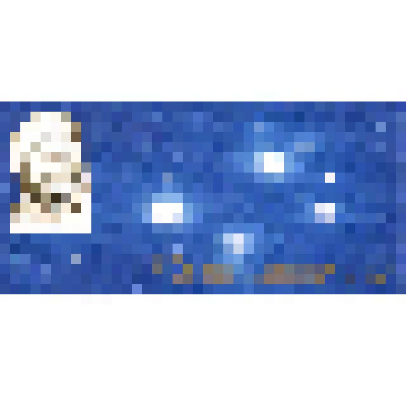 Приглашение (бланк)