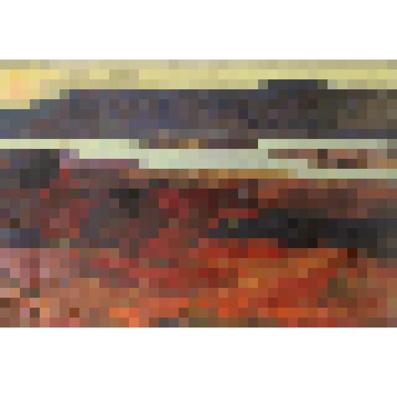 Картина. Тундра "Красная"